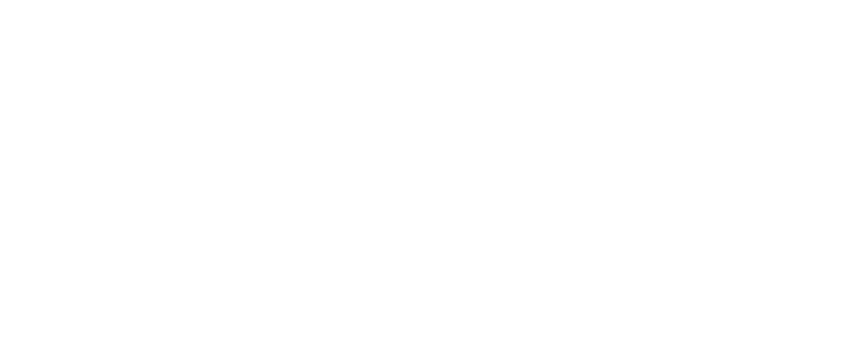 Decima Propiedades Main Logo